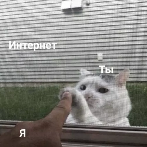 Смешная картинка №756043