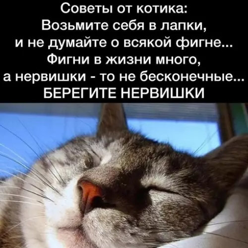 Смешная картинка №721652