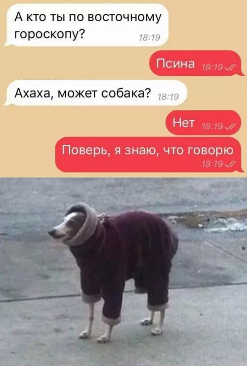 Смешная картинка №618136