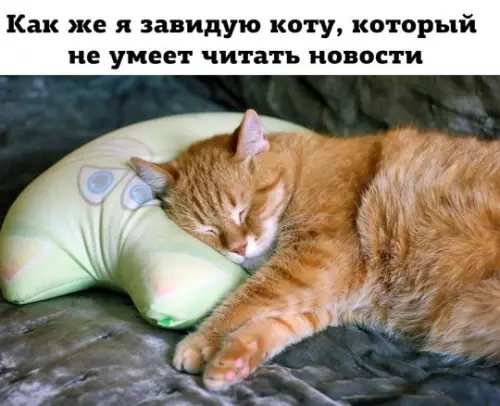 Смешная картинка №736353
