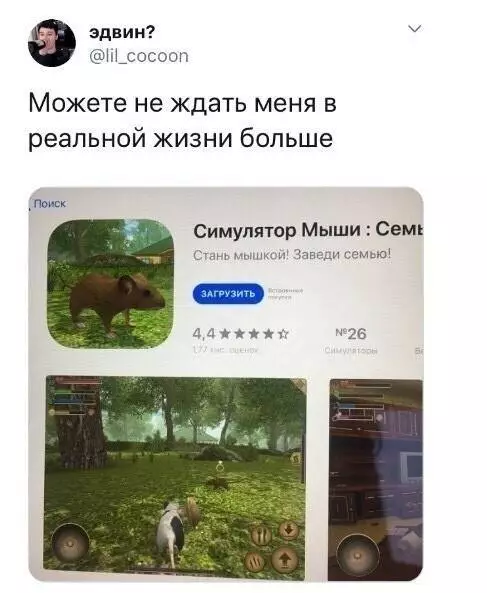 Ухожу в закат... играть за мышку 🐭✨ - Можете не ждать меня в реальной жизни больше. Симулятор Мыши