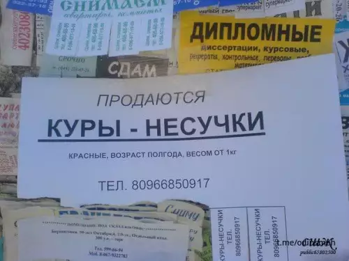 Смешная картинка №661022 картинки