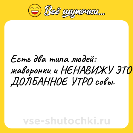 Шутка: Есть два типа людей: жаворонки и НЕНАВИЖУ ЭТО ДОЛБАННОЕ УТРО совы.