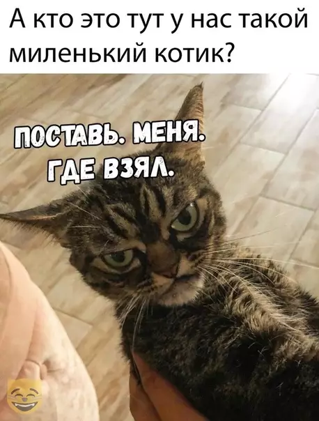 Смешная картинка №368874 #приколы #картинки #мемы ?