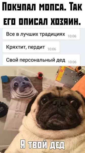 Смешная картинка №380689