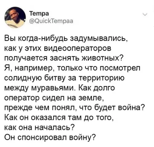 Смешная картинка №300728 Железное терпение у этих людей