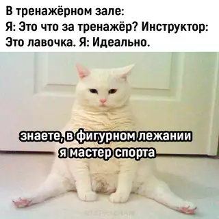 Смешная картинка №719767