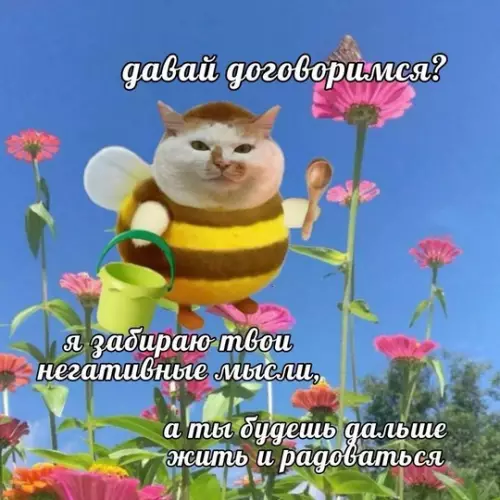Смешная картинка №767145