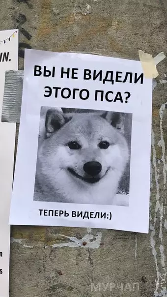 Смешная картинка №227826