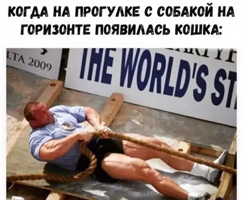Смешная картинка №243692