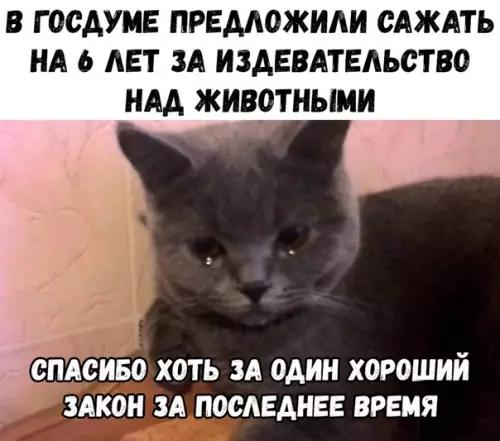 Смешная картинка №386021