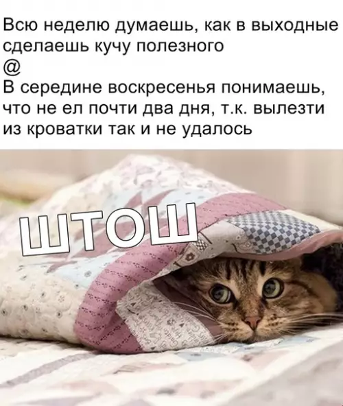 Смешная картинка №350068