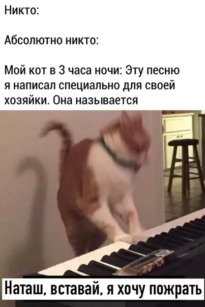 Смешная картинка №530887