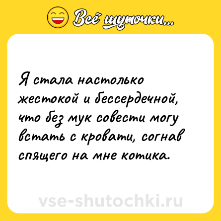 Шутка: Я стала настолько жестокой и бессердечной, что без мук совести могу встать с кровати, согнав спящего на мне котика.