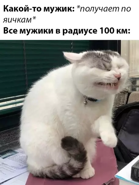 Смешная картинка №474254