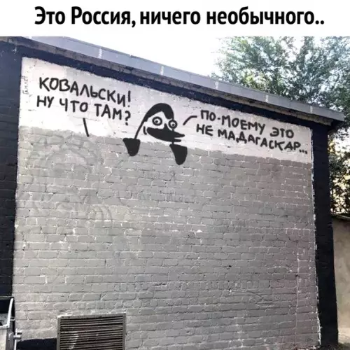 Смешная картинка №337102 не повезло