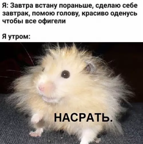 Смешная картинка №575936 Kaждый дeнь oднo и тo жe