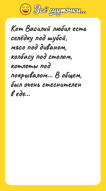 Кот Василий любил есть селёдку под шубой, мясо под диваном,