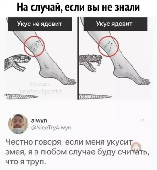 Смешная картинка №509938 и Я!