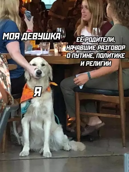 Смешная картинка №495710