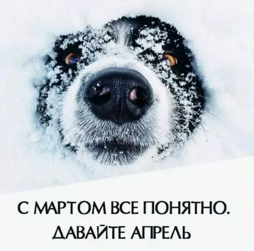 Смешная картинка №254296