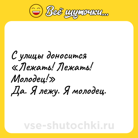 Шутка: С улицы доносится «Лежать! Лежать! Молодец!»<br>Да. Я лежу. Я молодец.