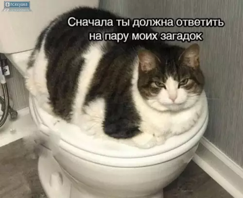 Смешная картинка №776133