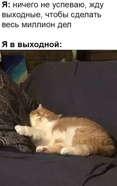 Смешная картинка №363754 Коротко обo мнe.