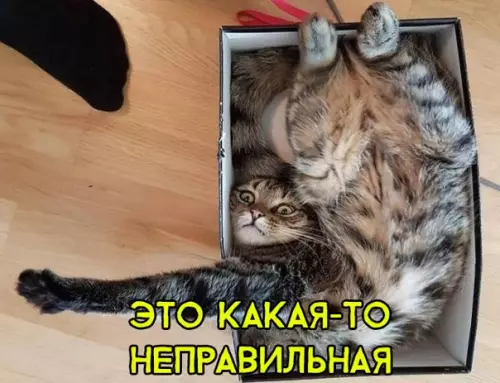 Смешная картинка №308783
