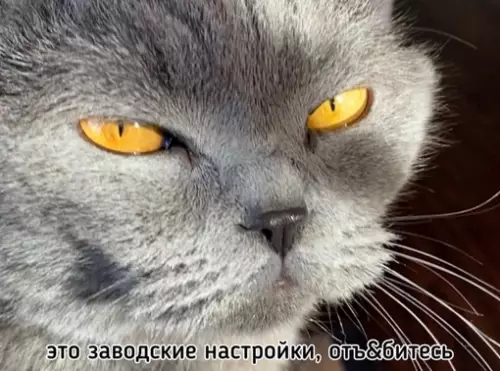 Смешная картинка №706830 Когда кто-то говорит тебе сделать лицо попроще: