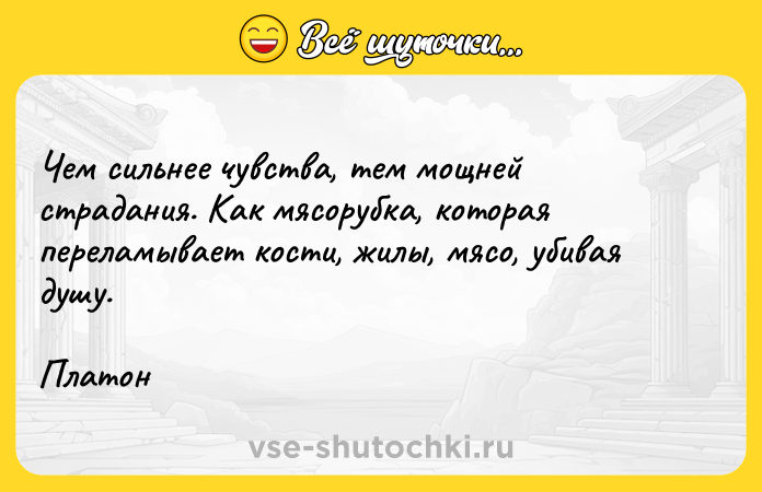 Цитата: Чем сильнее чувства, тем мощней страдания. Как мясорубка, которая переламывает кости, жилы, мясо, убивая душу.Платон