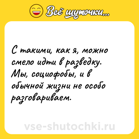 Шутка: С такими, как я, можно смело идти в разведку. Мы, социофобы, и в обычной жизни не особо разговариваем.