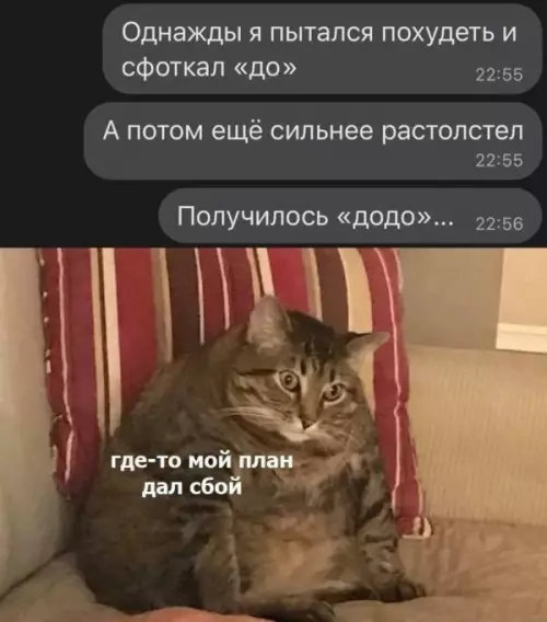 Смешная картинка №652558