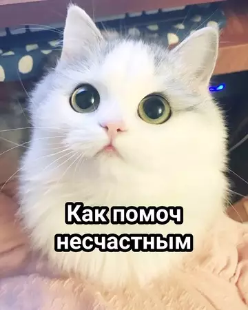 Смешная картинка №769440