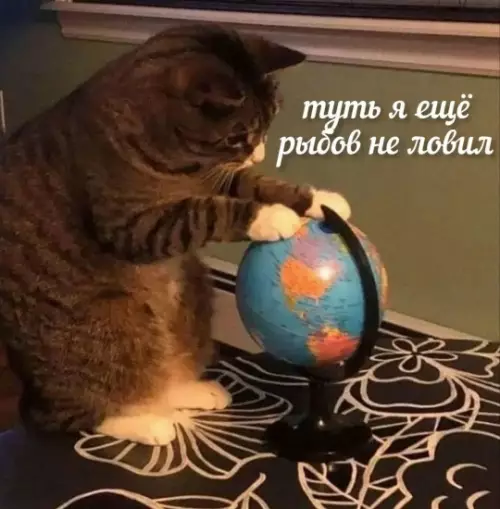 Смешная картинка №779894