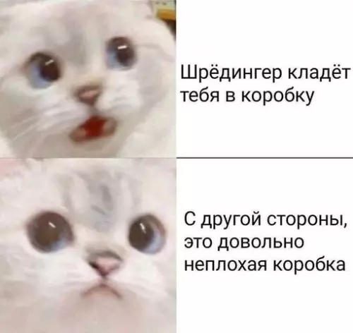 Смешная картинка №655387