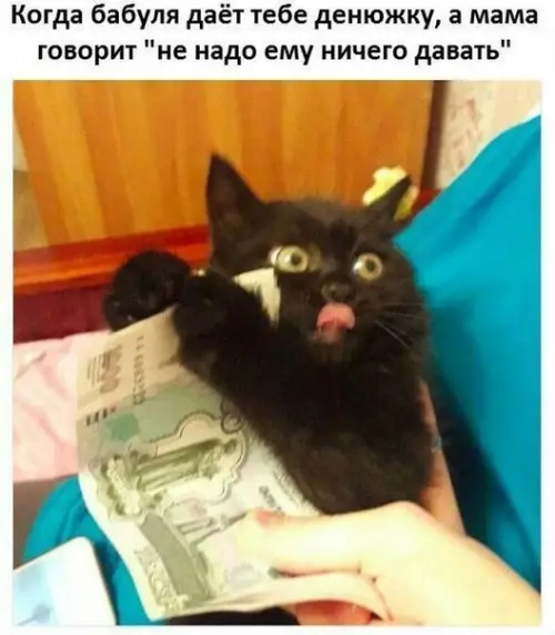 Смешная картинка №262288