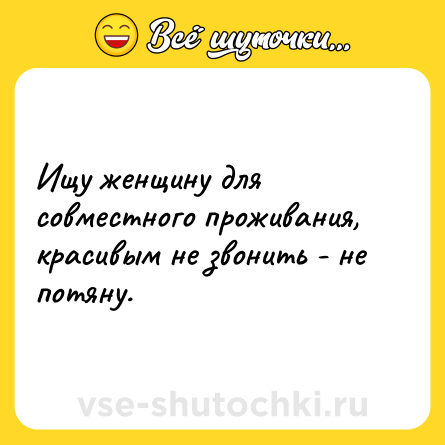 Шутка: Ищу женщину для совместного проживания, красивым не звонить - не потяну.