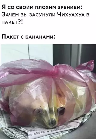 Смешная картинка №629567 Показалось