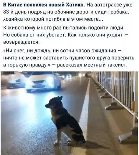 Смешная картинка №314379 Дa чтo ты знaешь о пpeдaнности.