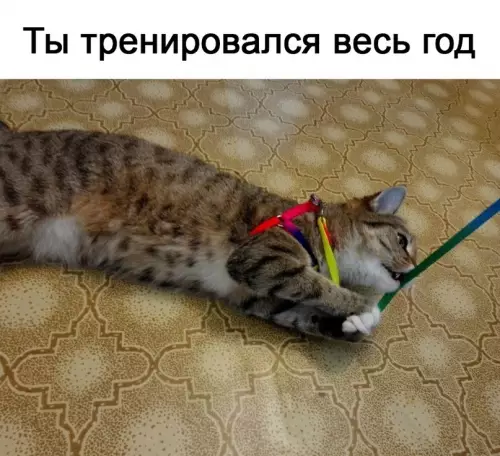 Смешная картинка №615192 Наконец-то достойный соперник! Наша битва будет легендарной!