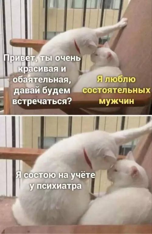 Смешная картинка №800294