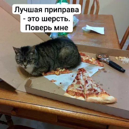 Смешная картинка №796026