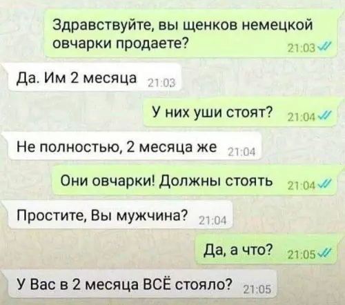 Смешная картинка №731631 Что за вопросы переписка