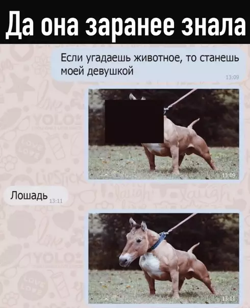 Смешная картинка №495614