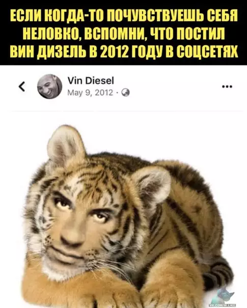 Смешная картинка №448732