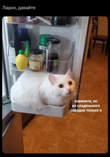 Смешная картинка №778729