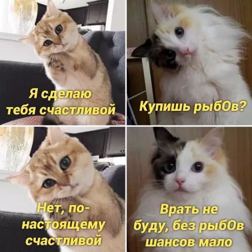 Смешная картинка №666808