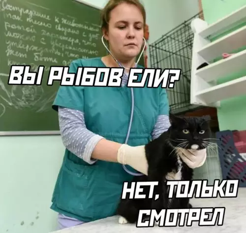 Смешная картинка №591728 Про рыбов