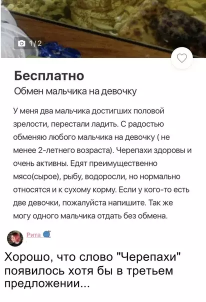 Смешная картинка №330410